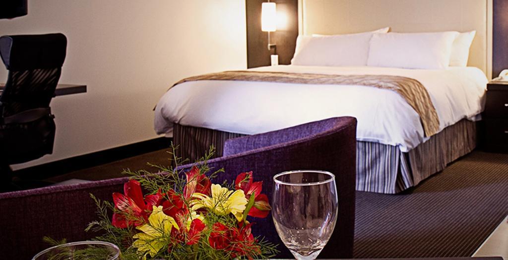 Queen Suite with Kitchenette,1292811043:JPEG